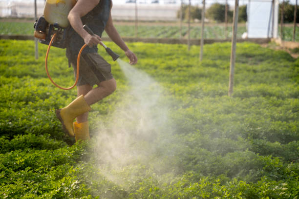 Best Pest Prevention Services  in Versailles, KY